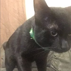 Meet your Posher, Tonisha